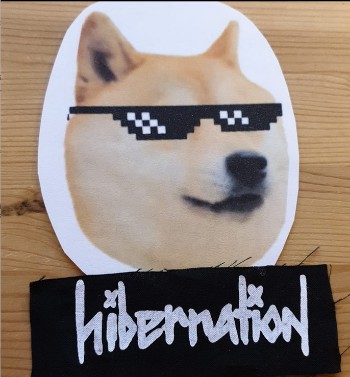 Hibernation