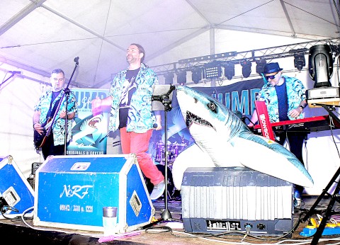 Jump the Shark