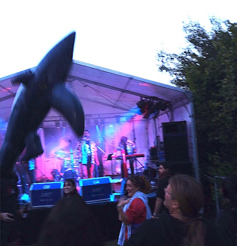 Jump the Shark
